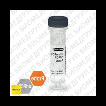 Набор EGFR G719S мутация PrimePCR ddPCR, 200 реакций, BioRad, 1863107