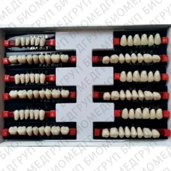Зубы искусственные Сывлах 328 шт 425 A3,5