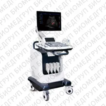 Ультразвуковой сканер 3D/4D Cheap Laptop 3d Color Doppler System