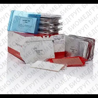 Мембраны iBlot Transfer Stack, для переноса белков, 0,2 мкм, PVDF, 13,5 x 8 см, Thermo FS, IB401031, 3х10 шт./уп.