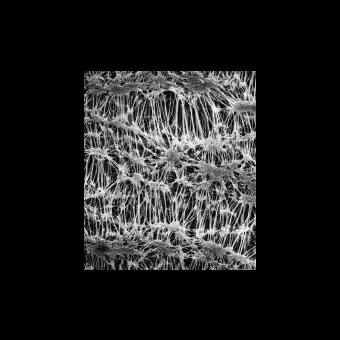 Фильтр, Флуоропор, d пор 1,0 мкм, d мембраны 25 мм, 100 шт., Merck Millipore, FALP02500