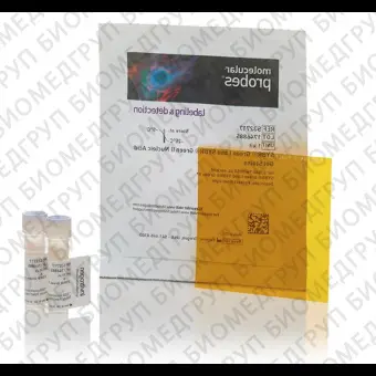 Краситель SYBR Green Nucleic Acid Gel Stain Starter Kit, Thermo FS, S7580, 1 набор