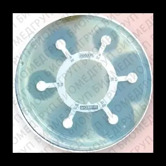 Гексадиски Pseudo 8 для Acinetobacter spp. и др. 10 гексадисков