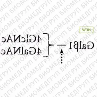 14галактозидаза пневмококк ранее ProZyme