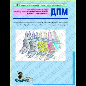 Ортодонтическое лечение с использованием многопетлевой проволоки с прямоугольным сечением / С. Сато