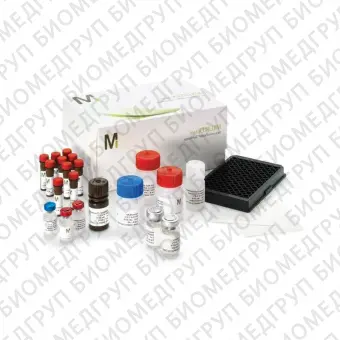 Панель 7Plex Early Apoptosis Magnetic Bead Kit для одновременного определения маркеров раннего апоптоза человека96 тестов