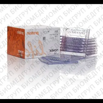 Гель полиакриламидный Bolt BisTris Mini Protein Gel, 8 х 8 см, 15 лунок, 4  12, Thermo FS, NW04125BOX, 10 шт./уп.