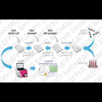 Панель для профилирования миРНК, Multiplex miRNA Assay Liver Tox Panel  Circulating, Abcam, ab204065, 96 тестов