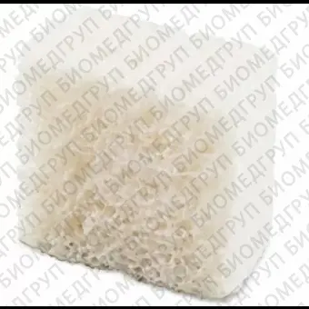 Special гетерологичный перикард с коллагеном. OsteoBiol SpBlock. 1 блок. 10x10x20 мм. блок губчатой кости. конский