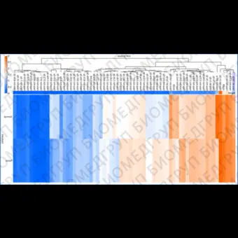 Панель для профилирования миРНК, Multiplex miRNA Assay Lung Cancer Panel  Cellular, Abcam, ab204060, 96 тестов