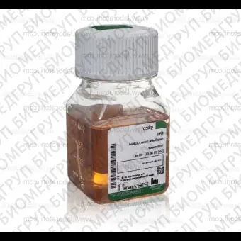 Сыворотка Fetal Bovine Serum, qualified, US origin