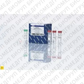 Мастермикс для мультиплексной ПЦР Multiplex PCR Kit, Qiagen, 206145, 1000 реакций