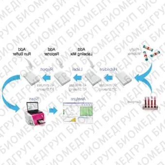 Панель для профилирования миРНК, Multiplex miRNA Assay Oncology Panel  Circulating, Abcam, ab203185, 96 тестов