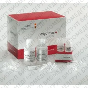Набор PureLink miRNA Isolation Kit, Thermo FS, K157001, 25 выделений