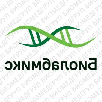 Мастермикс БиоМастер LR HSПЦРColor 2x для амплификации длинных фрагментов ДНК до 30 кб и сложных фрагментов ДНК100 реакций