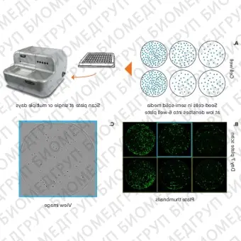 Система многопараметрического анализа клеток CloneSelect Imager, Molecular Devices, CloneSelectImager