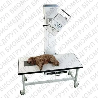 Ветеринарная рентгенографическая система DUAL VET XPlus