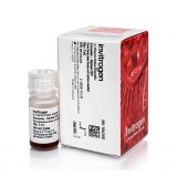 Набор Exosome-Human CD9 Flow Detection Reagent (from cell culture), Thermo FS, 10620D, 2 мл