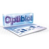 Гель полиакриламидный готовый, Optiblot SDS Gel 12% (8x10 см), 17 лунок, Abcam, ab139606, 10 шт/уп