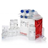 Набор PureLink Expi Endotoxin-Free Maxi Plasmid Purification Kit, Thermo FS, A31231, 25 выделений