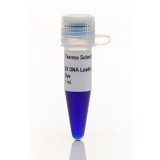 Краситель для нанесения на гель DNA Gel Loading Dye, 6X, Thermo FS, R0611, 5х1 мл