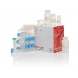 Набор JetQuick Blood and Cell Culture DNA Midiprep Kit, Thermo FS, A30704, 50 выделений