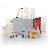 Набор PureLink Fast Low-Endotoxin Maxi Plasmid Purification Kit, Thermo FS, A36228, 20 выделений