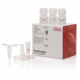 Набор PureLink Genomic Plant DNA Purification Kit, Thermo FS, K183001, 50 выделений