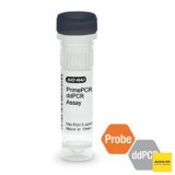 Набор KRAS CNV PrimePCR ddPCR, 200 реакций, Bio-Rad, 1863303