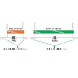 ДЛЯ КЛИЕНТОВ из США. SureFISH PML RARA DF. PML-RARA, Dual Fusion, 20 тестов, Cy3-FITC, концентрат, ручное использование