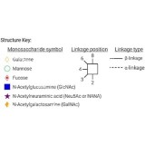 Стандарт N-гликанов AdvanceBio InstantAB G2S1 α(2,6) / A2G2S(6)1 (ранее ProZyme)