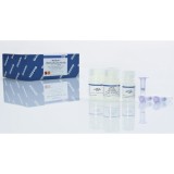 Набор MinElute PCR Purification Kit для очистки ПЦР-продуктов в малых объемах элюции(50 реакций)