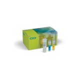 Набор SingleShot Cell Lysis Kit для лизиса клеток для последующей ОТ-ПЦР(500 реакций)