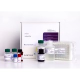 Набор реагентов SVANOVIR® EHV1/EHV4-Ab для обнаружения антител к инфекционной ринопневмонии лошадей 1 и 4 типа методом ИФА(2 планшета)